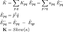 \hat{K} &= \sum_{p,q}^{} K_{pq} \ \hat{E}_{pq} = \sum_{p>q}^{} \kappa_{pq} \ \hat{E}_{pq}^{-} \\
\hat{E}_{pq}  &= \hat{p}^{\dagger} \hat{q} \\
\hat{E}_{pq}^{-} &= \hat{E}_{pq} \ - \ \hat{E}_{qp} \\
{\bf K} &= Skew({\bf \kappa})